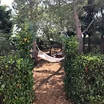 迪莫拉希甘特农家乐