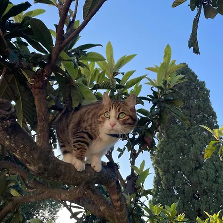 La Dimora Gigante 4*