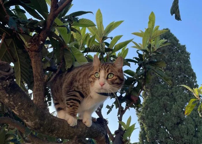 La Dimora Gigante 4*