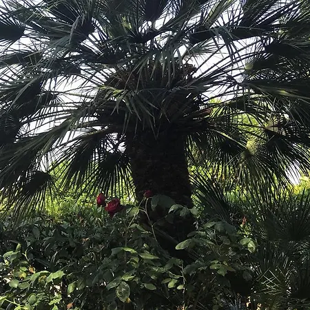 La Dimora Gigante 5*